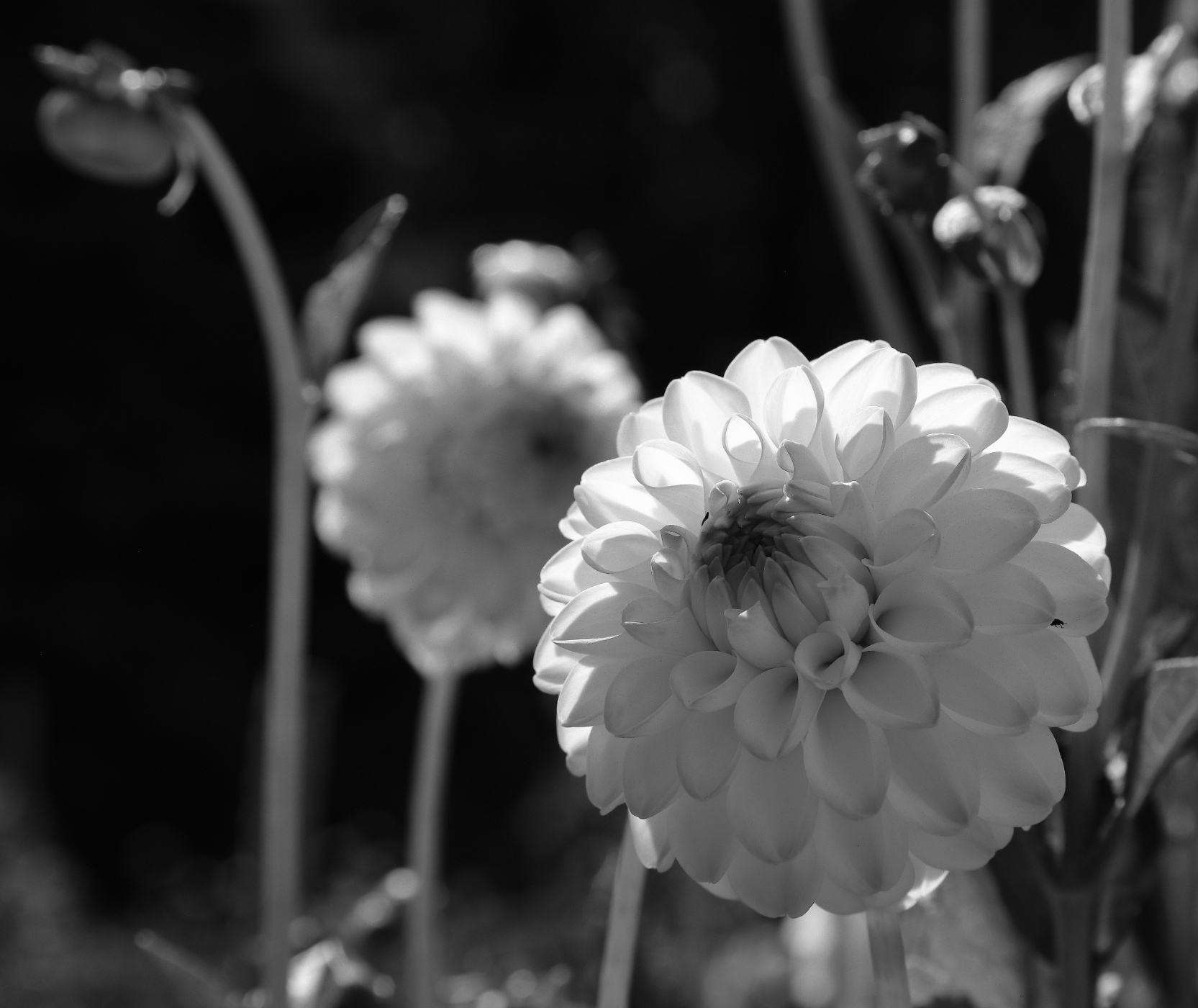 2019 09 24 HTP 90798ebw